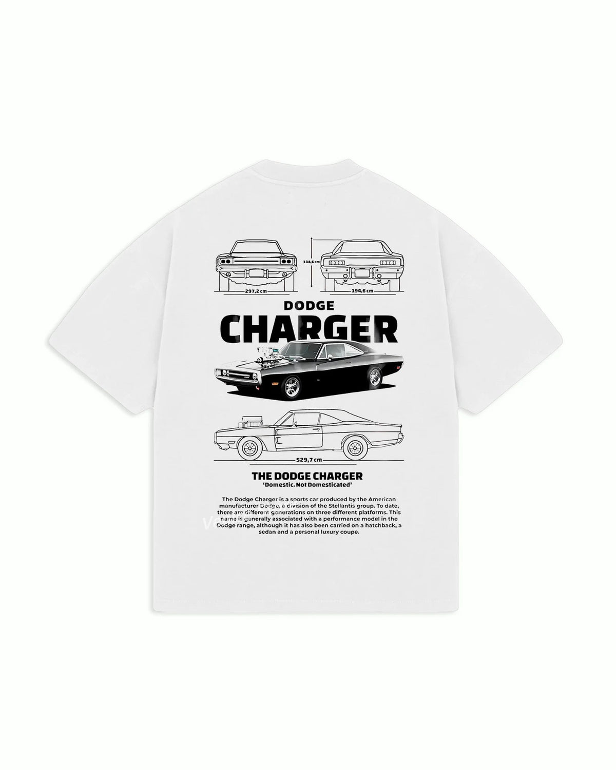 F1 Driver Formula 1 Tee | Multiple Variants